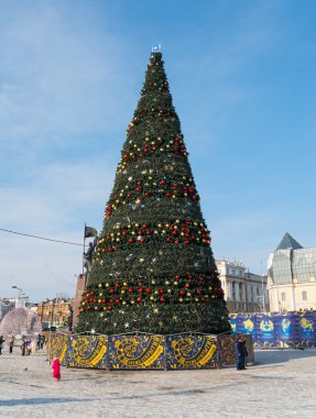 Vladivostok merkezi kare Noel ağacı.