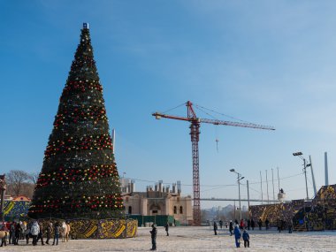 Vladivostok merkezi kare Noel ağacı.