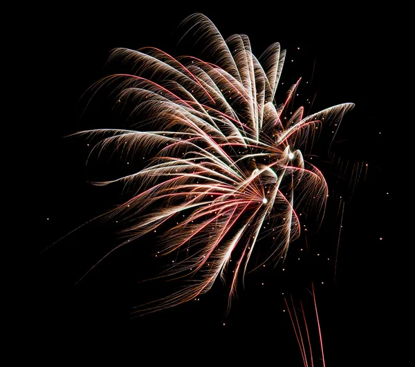 Fogos de artifício. — Fotografia de Stock