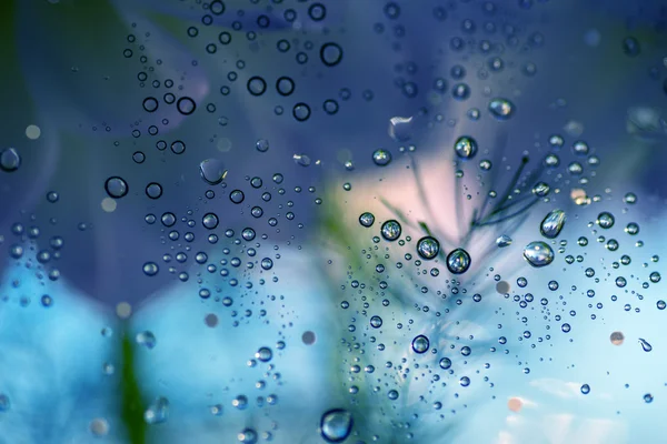 Drops on a glass. — Stock Photo, Image