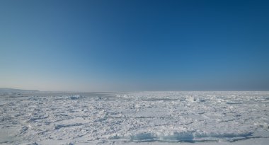 Frozen sea. clipart