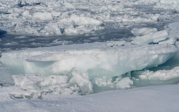 Frozen sea. — Stock Photo, Image