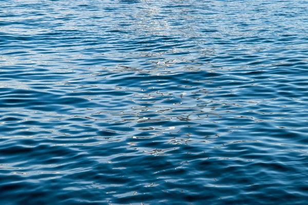 Fondo marino . — Foto Stock