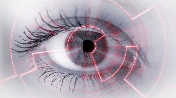 göz dijital bilgileri görüntüleme.