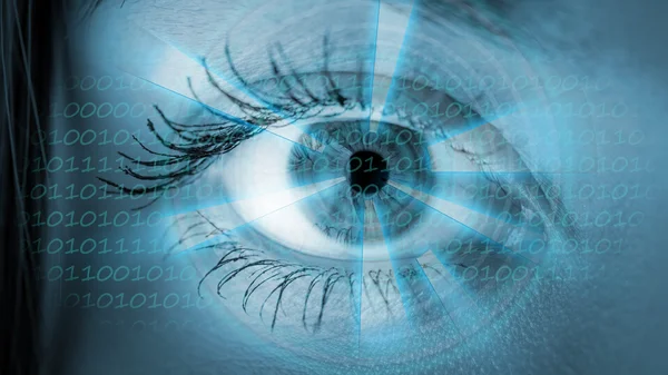 Eye viewing digital information. — Stock Photo, Image