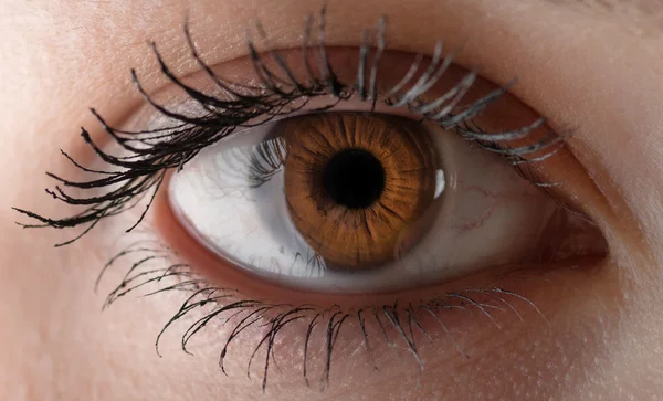 Human eye. — Stock Photo, Image