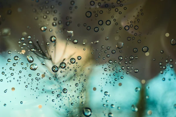 Gotas en un vaso . — Foto de Stock