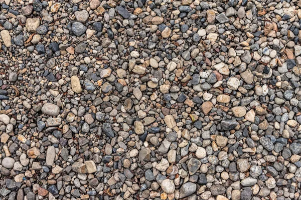 Pebbles bakgrund. — Stockfoto