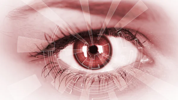 Eye viewing digital information. — Stock Photo, Image