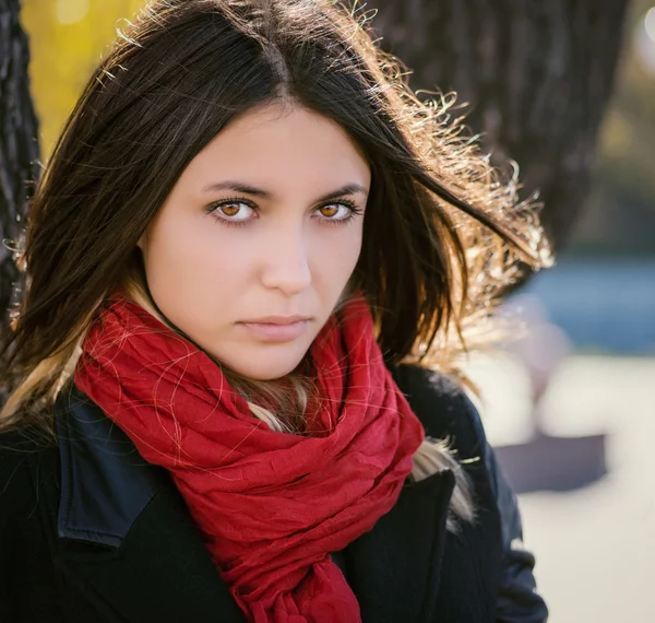 Retrato de otoño . — Foto de Stock