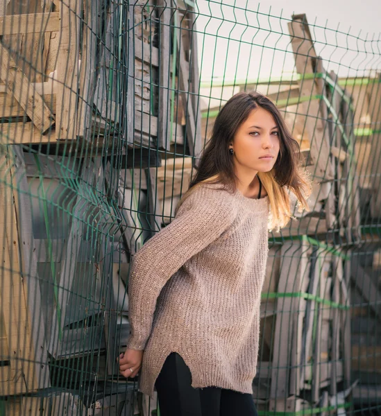 Portrait of a beautiful brunette. — Stock Photo, Image