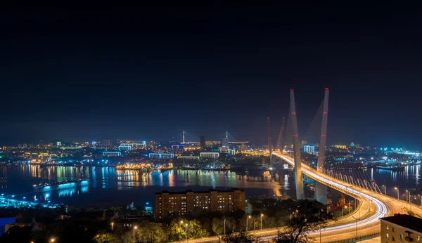 Vladivostok. Gece görünümü.