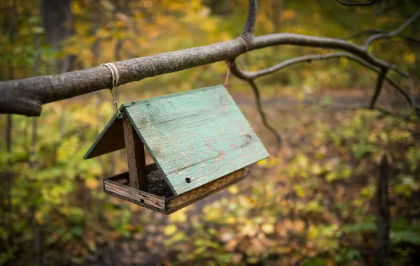 Mangiatoia per uccelli nella foresta . — Foto Stock