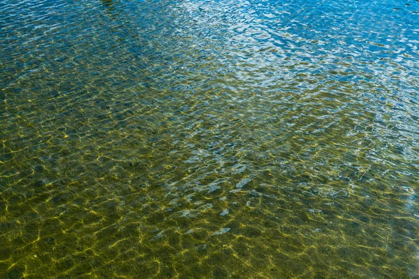 Grüne Wasseroberfläche. — Stockfoto