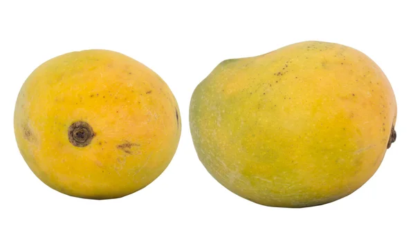 Dojrzałe mango na białym tle — Zdjęcie stockowe