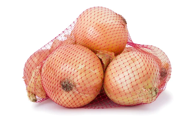 Kahverengi soğan kırmızı bir net bavul hazırladı.