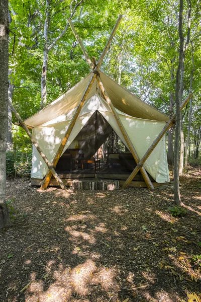 Σκηνή camping στο δάσος — Φωτογραφία Αρχείου