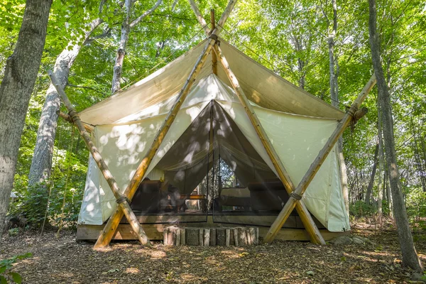 Camping namiot w lesie — Zdjęcie stockowe