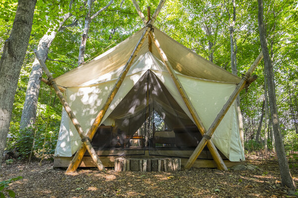 Camping Tent in the Woods 
