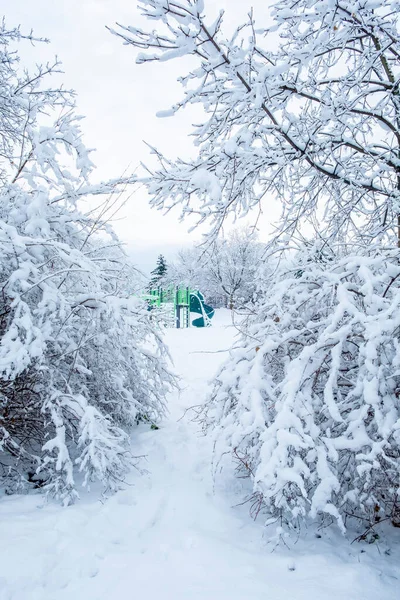 雪に覆われた木々に囲まれた遊び場 — ストック写真