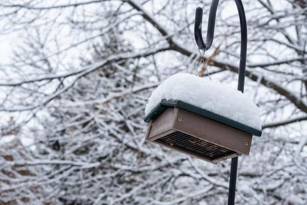 Alimentador Upside Bird Suet Cubierto Nieve —  Fotos de Stock