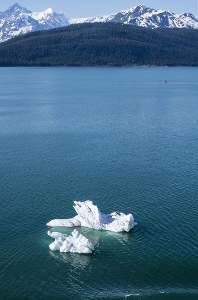 Isbergen flyter i havet — Stockfoto