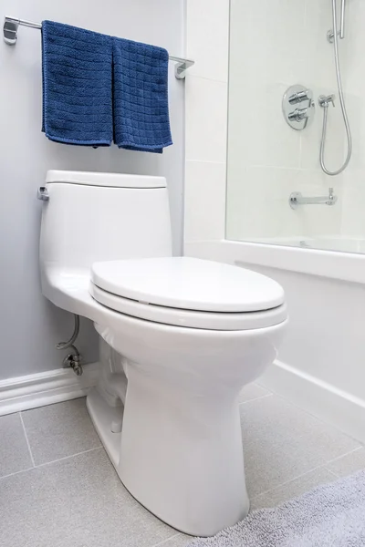 Toaleta v zrekonstruované koupelny — Stock fotografie