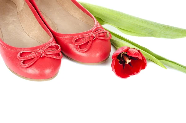 Rote Ballerinas mit einer Tulpenblume isoliert — Stockfoto