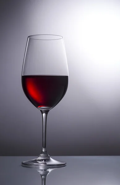 Rotweintrauben Pinot Noir — Stockfoto