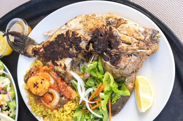 Grilled Trigger Fish — Stock Photo, Image