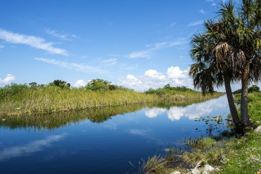Everglades Florida ABD