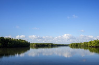 Florida Everglades ABD