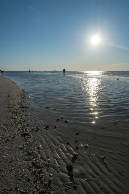 Düşük gelgit sırasında kum üzerinde yürüyen adam