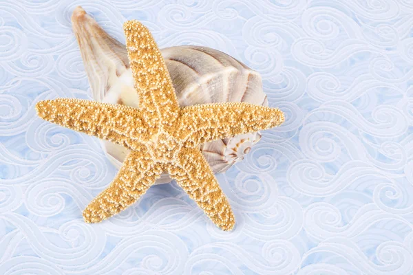 Estrella de mar y relámpago Whelk conchas — Foto de Stock