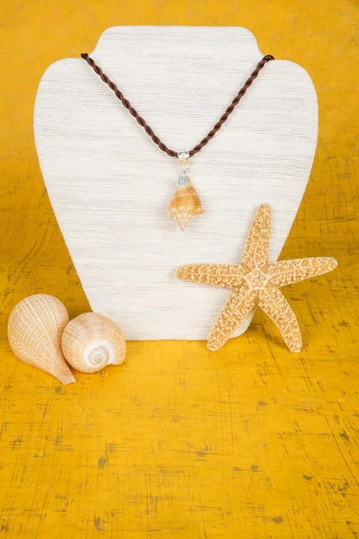 ディスプレイ スタンドの貝殻ネックレス — ストック写真