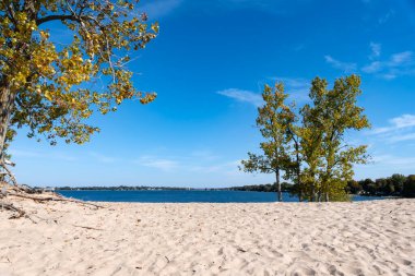 Sandbanks Provincial Park Dunes Beach on a Sunny Day in Autumn