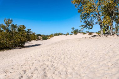 Sandbanks Provincial Park Dunes Beach on a Sunny Day in Autumn