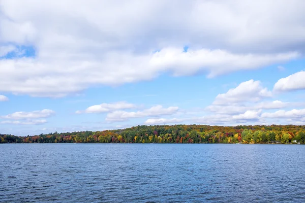 Kolorowe drzewa jesienią przez jezioro — Zdjęcie stockowe