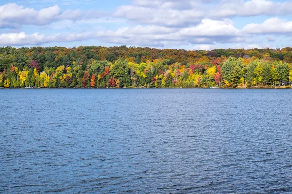 Bunte Bäume im Herbst am See — Stockfoto