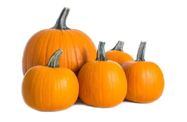 Pumpkins Isolated on White Background — Stock Photo, Image