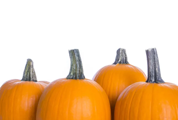 Calabazas aisladas sobre fondo blanco — Foto de Stock