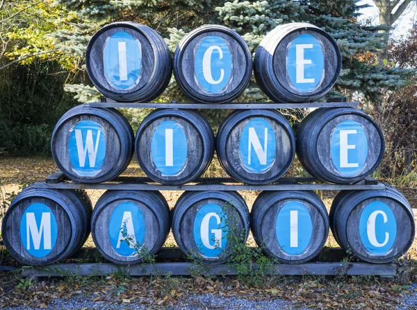 Wine Barrels in an Ice Wine Winery — Stock Fotó