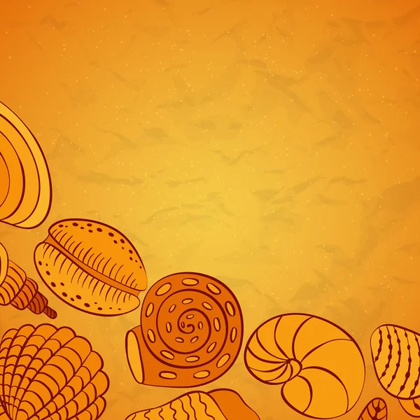 Des coquilles de Nautilus. Vecteur . — Image vectorielle
