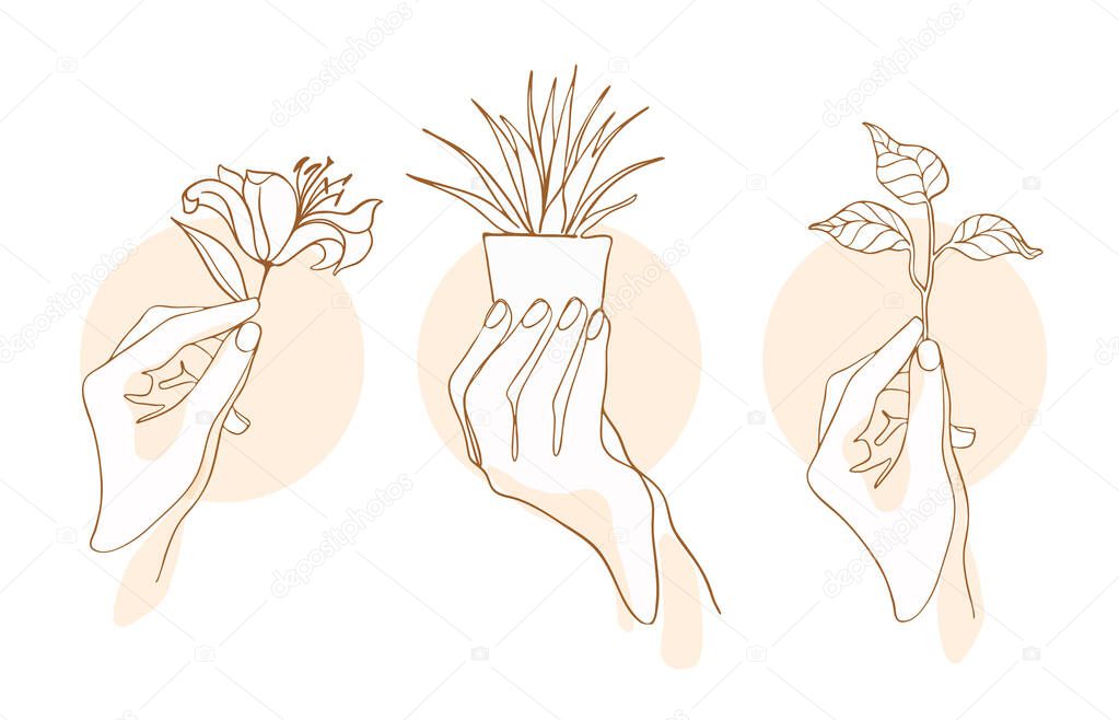 Hand holds sprout or flower, line drawing in minimalistic trendy style