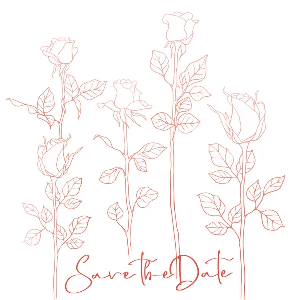 玫瑰花是一种独立的枝条 打算用于丝印装饰 标志概念 — 图库矢量图片