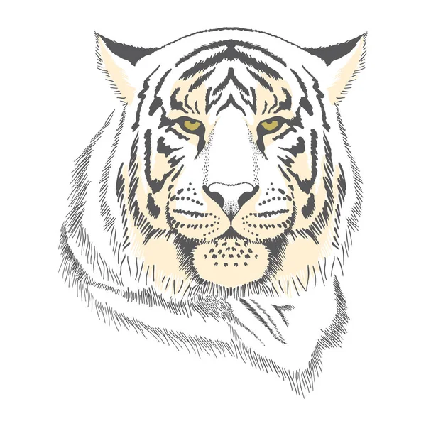 Dibujo Mano Alzada Tigre Sobre Fondo Blanco Tarjeta Felicitación Para — Vector de stock