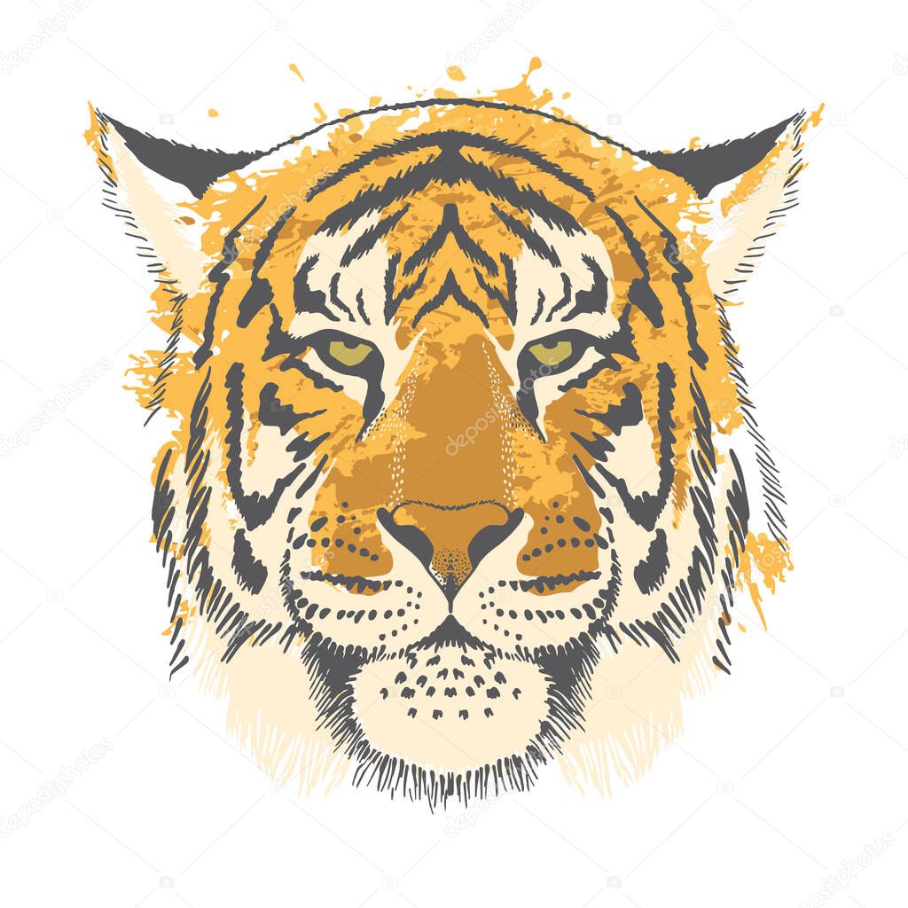 Freehand drawing of a tiger on a white background. Greeting card for New Year of the Tiger 2022, Illustration for printing on T-shirts, textiles and souvenirs.