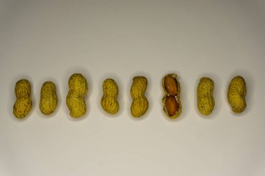 Beyaz arkaplanda yer fıstıkları