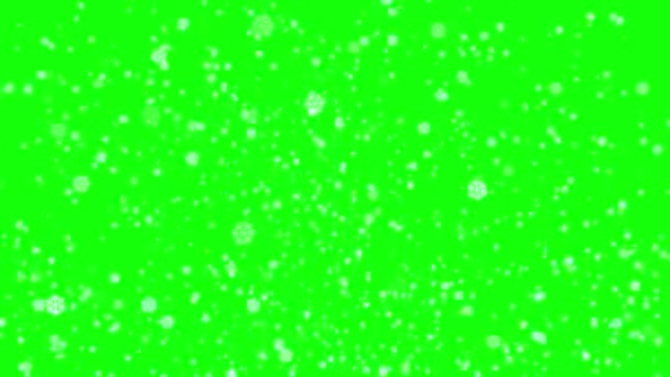 Sneeuwval Grote Kleine Sneeuwvlok Winter Kerstachtergrond Nieuwjaar Animatie Groene Scherm — Stockvideo