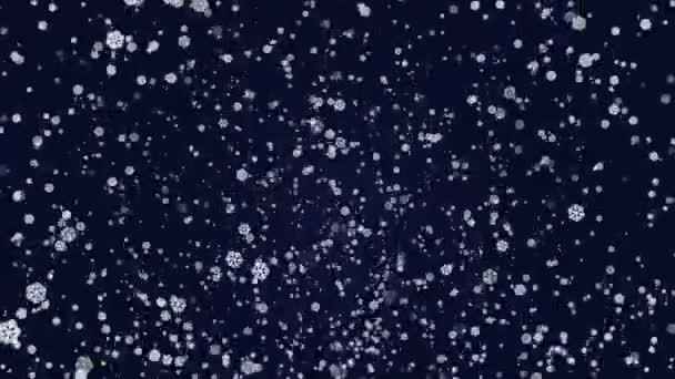 Snow Falling Large Small Snowflake Winter Christmas Background New Year — Stock Video